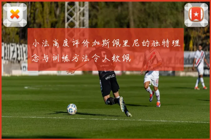 小法高度评价加斯佩里尼的独特理念与训练方法令人钦佩