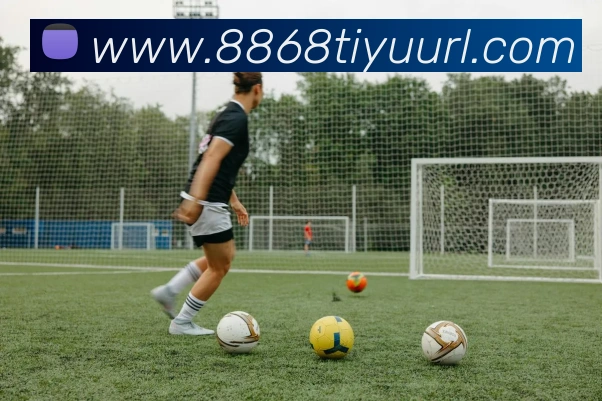 8868体育平台生态图